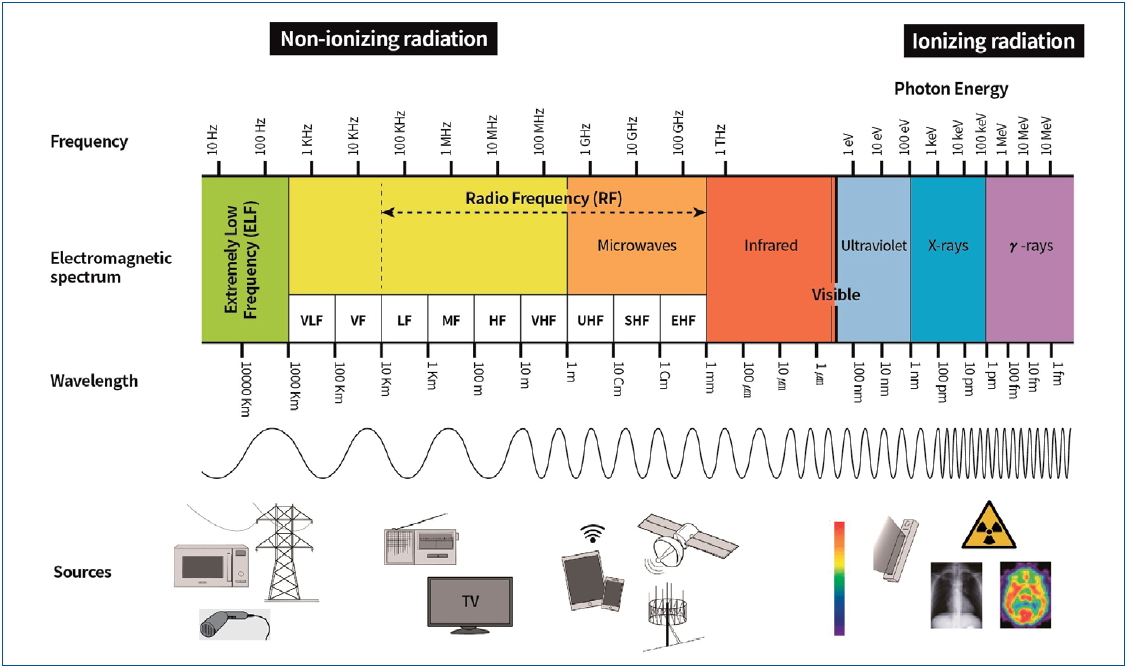 Long-term exposure to 835 MHz RF-EMF induces hyperactivity