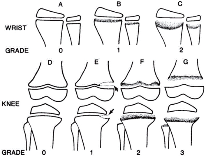 cep-2022-01459f4.jpg