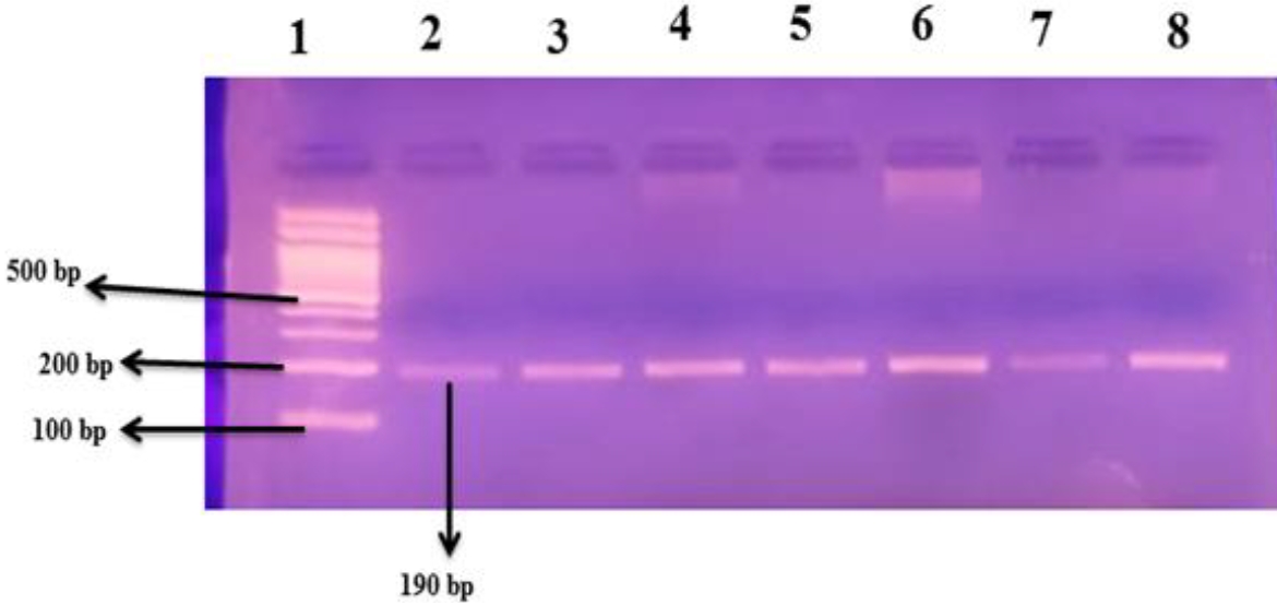 cep-2024-00941f1.jpg