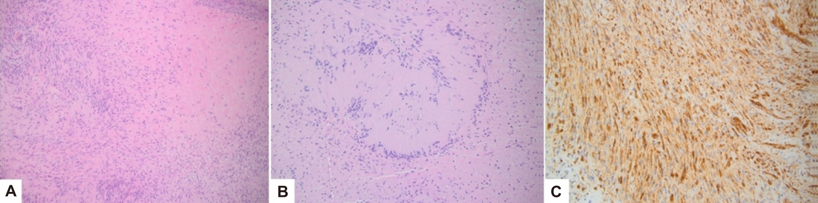 cep-2024-01375f3.jpg