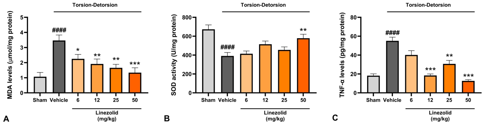 cep-2025-00080f4.jpg