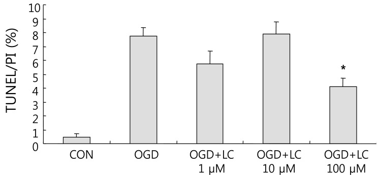 Fig. 9