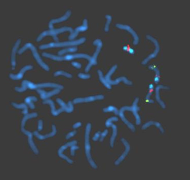 Fig. 3