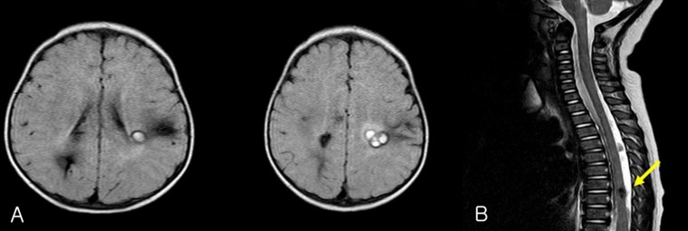 Fig. 5