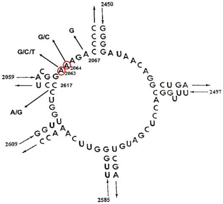 kjped-60-167-g001.jpg