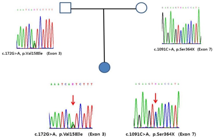 kjped-60-94-g001.jpg