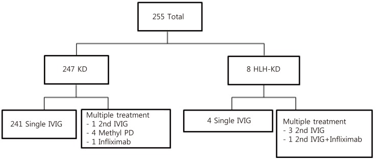 kjped-61-167-g003.jpg