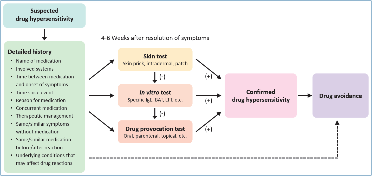 Drug Allergy in Children: What Should We Know?